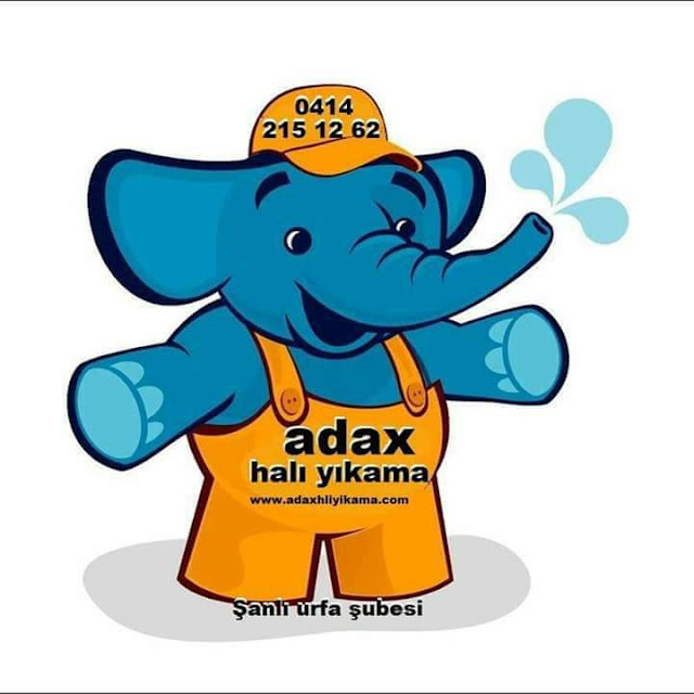 Hakkımızda – Adax Halı ve Koltuk Yıkama